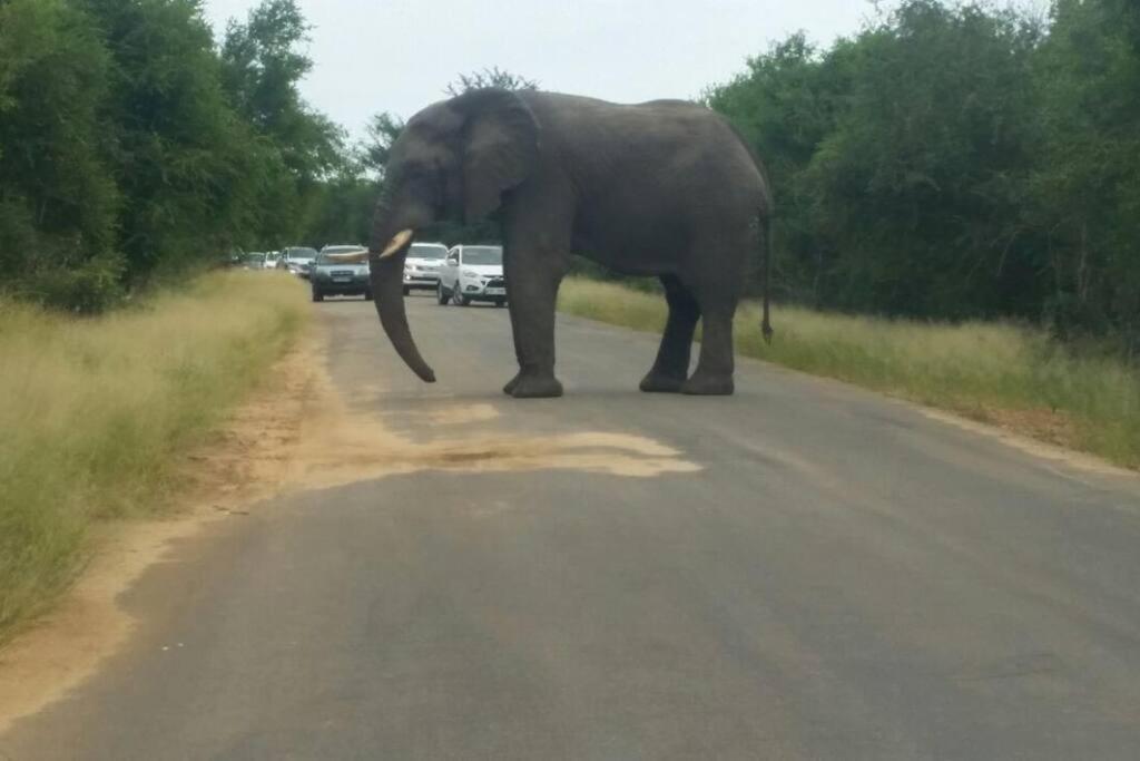 Collin's Rest Marloth Park